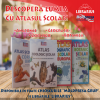 „Ecologia în versuri, proză și culori”