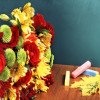 Sincere felicitări cu ziua profesorului!