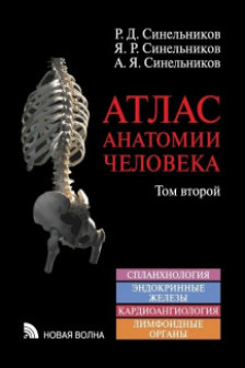Атлас анатомии человека. В 3 т. Т. 2. Учебное пособие.