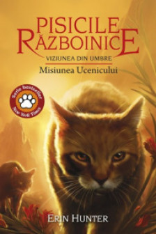 Pisicile Razboinice. Cartea a XXXI-a. Viziunea din umbre: Misiunea Ucenicului