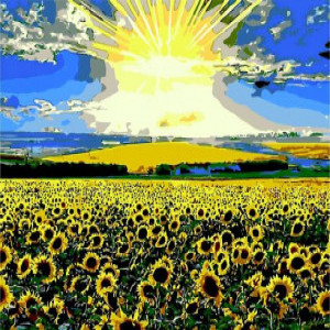 ZB.64103 Pictura pe numere  Camp de floarea soarelui, 40*50 cm, ART Line