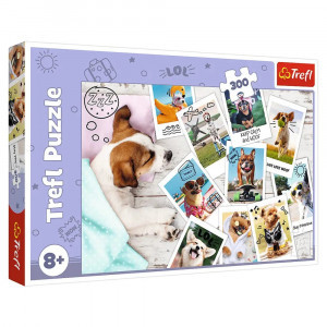 Trefl 23003 Puzzles - 300 - Holiday pictures / Trefl