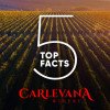 Carlevana