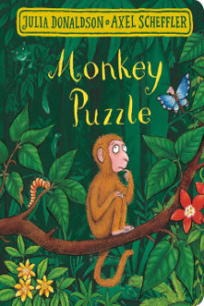 Monkey Puzzle BB