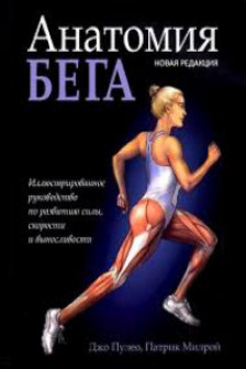 Анатомия бега