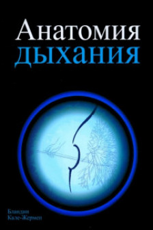 Анатомия дыхания