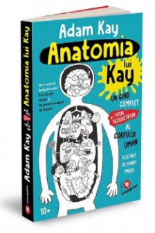 Anatomia lui Kay