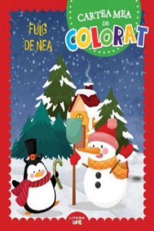 CARTEA MEA DE PICTAT. FULG DE NEA