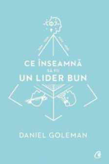 Ce inseamna sa fii un lider bun