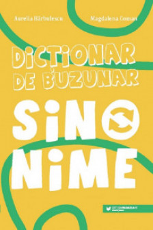 Dictionar de buzunar. Sinonime