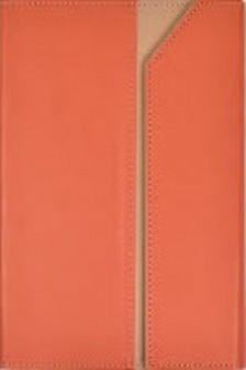 Ежедневник недатированный  ESCALADA