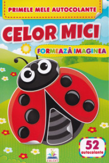 Formeaza imaginea CELOR MICI