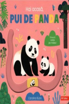 Hai acasa pui de panda