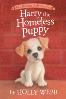 Harry the Homeless Puppy (Holly Webb Series 1)