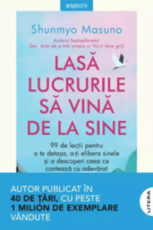 Introspectiv. LASA LUCRURILE SA VINA DE LA SINE.