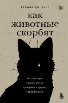 Как животные скорбят. Что чувствуют кошки слоны дельфины и другие теряя близких