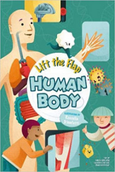 Lift the Flap Human Body
