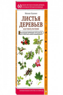 Листья деревьев. Как узнать растение