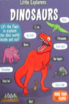 Litlle Explorers. DInosaurs
