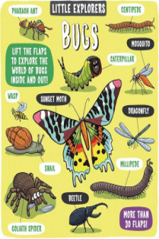 Little Explorers. Bugs