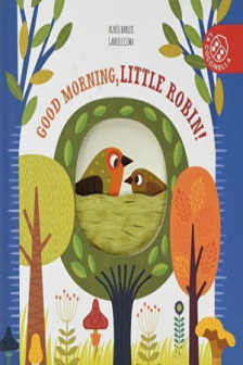 Little Nature Stories: Good Morning Little Robin!