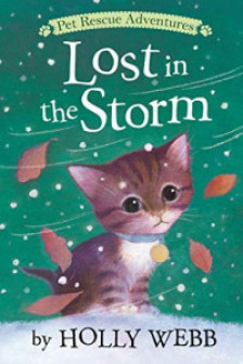 Lost in the Storm (Holly Webb Series 1)