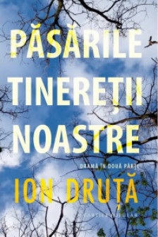 Pasarile tineretii noastre. Ion Druta