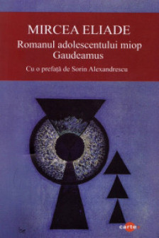 Romanul adolescentului miop