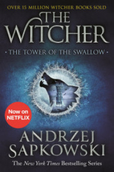 The Witcher Vol 4 The tower of the swallow