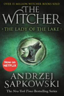 The Witcher Vol 5 The lady of the lake