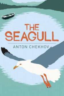 The Seagull (Arcturus Classics)