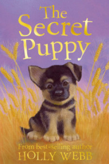 The Secret Puppy (Holly Webb Series 2)