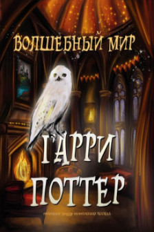 Волшебный мир Гарри Поттера. Раскраска
