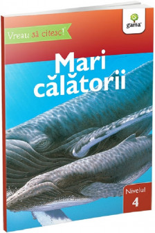 Mari calatorii • nivelul 4