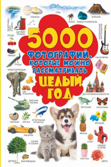 5000 фотографий которые можно рассматривать целый год