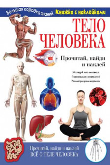 Тело человека. Познавательный набор
