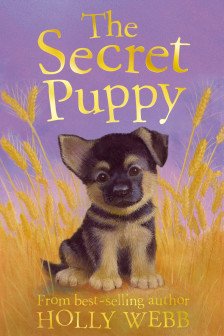 The Secret Puppy (Holly Webb Series 2)