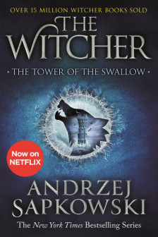 The Witcher Vol 4 The tower of the swallow