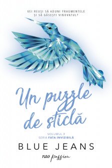 Un puzzle de sticla Vol.2 din seria Fata invizibila