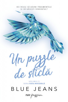 Un puzzle de sticla Vol.2 din seria Fata invizibila