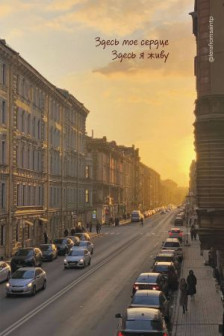 Здесь мое сердце здесь я живу. Блокнот