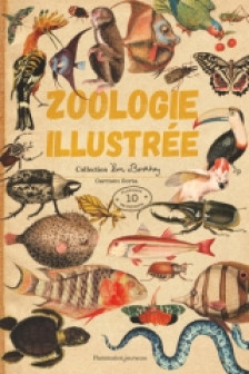 Zoologia ilustrata