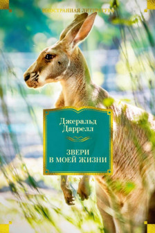 Звери в моей жизни