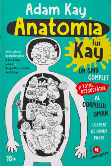 Anatomia lui Kay