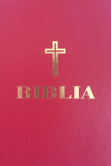 Biblia 053 simpla