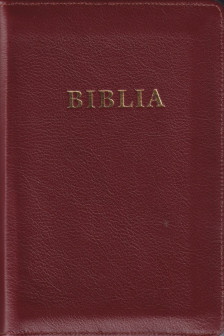 Biblia handmade cu piele