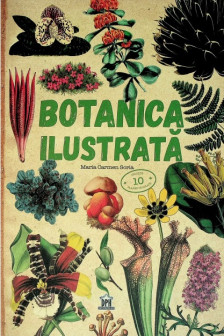 Botanica ilustrata
