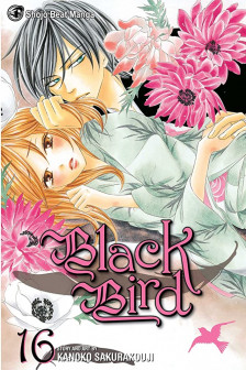 Black Bird 16