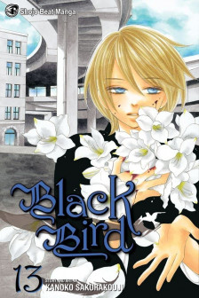 Black Bird 13