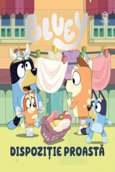 Bluey - Dispozitie proasta